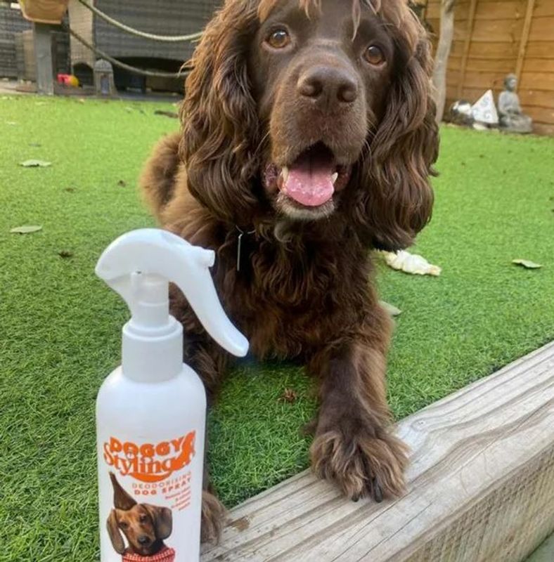 Deodorising Dog Spray 250ml