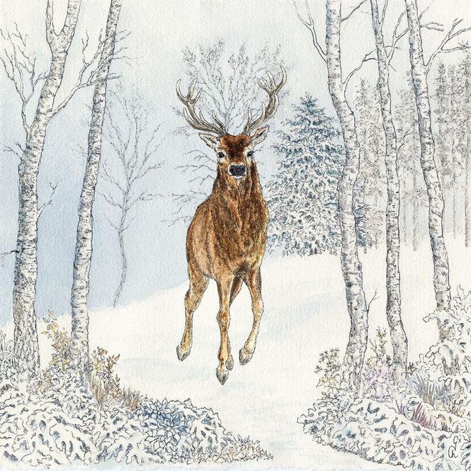 Hovedbilde Middagsservietter Vinter 