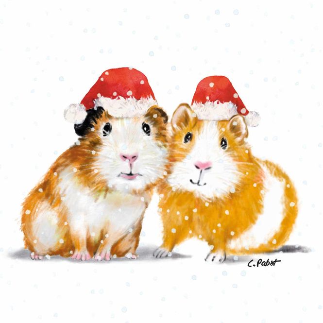 Hovedbilde Middagsservietter Jul 