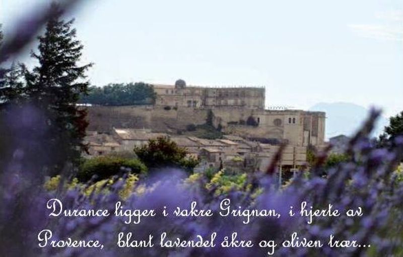 Duftposer Lavendel Durance