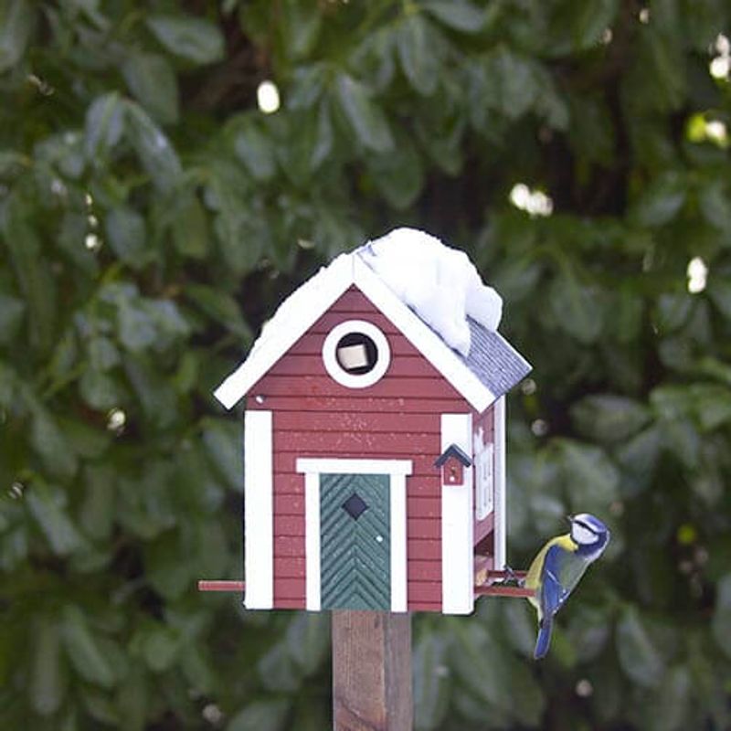 Fuglekasse og fuglemater i ett  Rød Stue Wildlife Garden